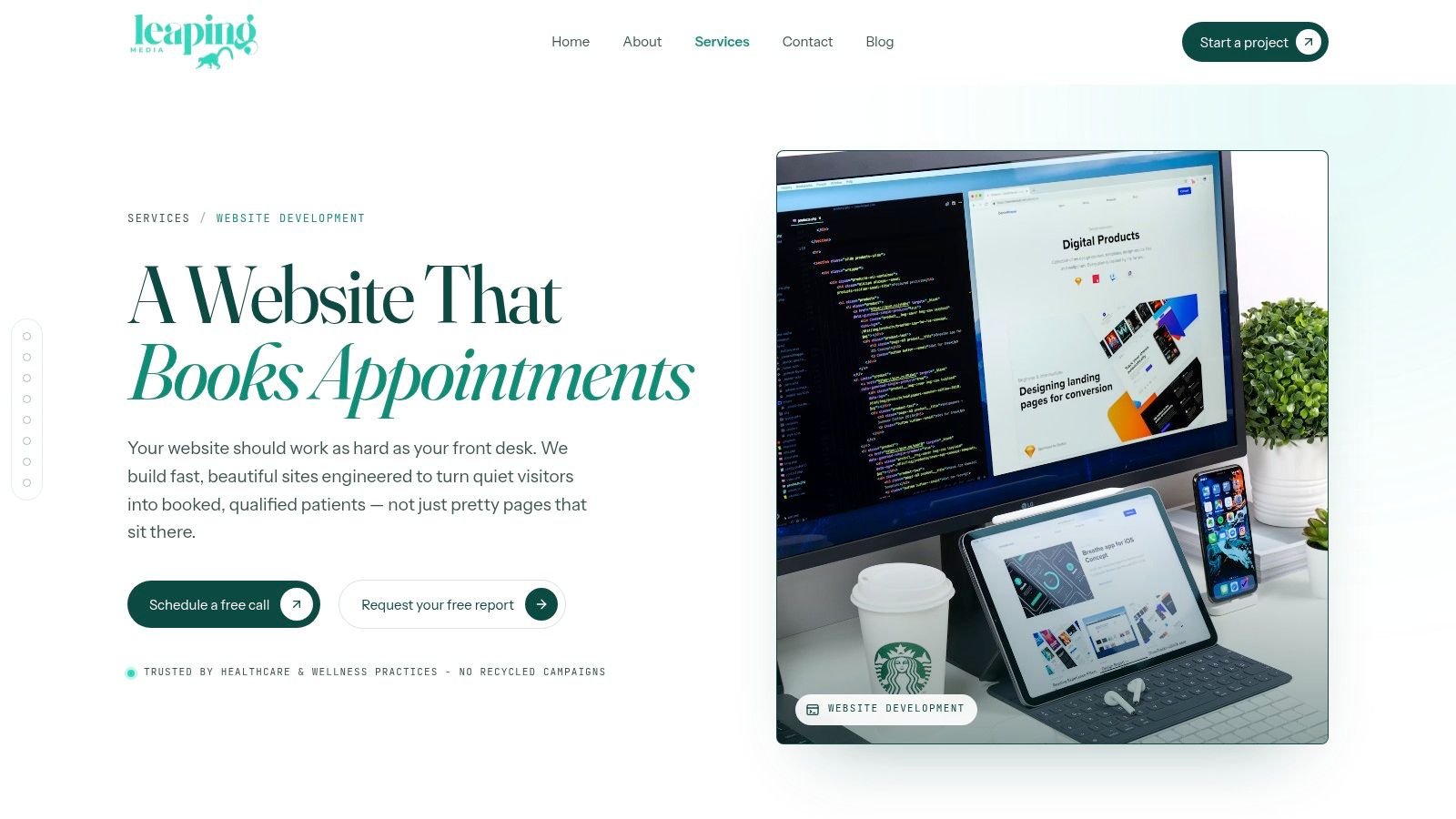 Website Development – Leaping Lemur Media