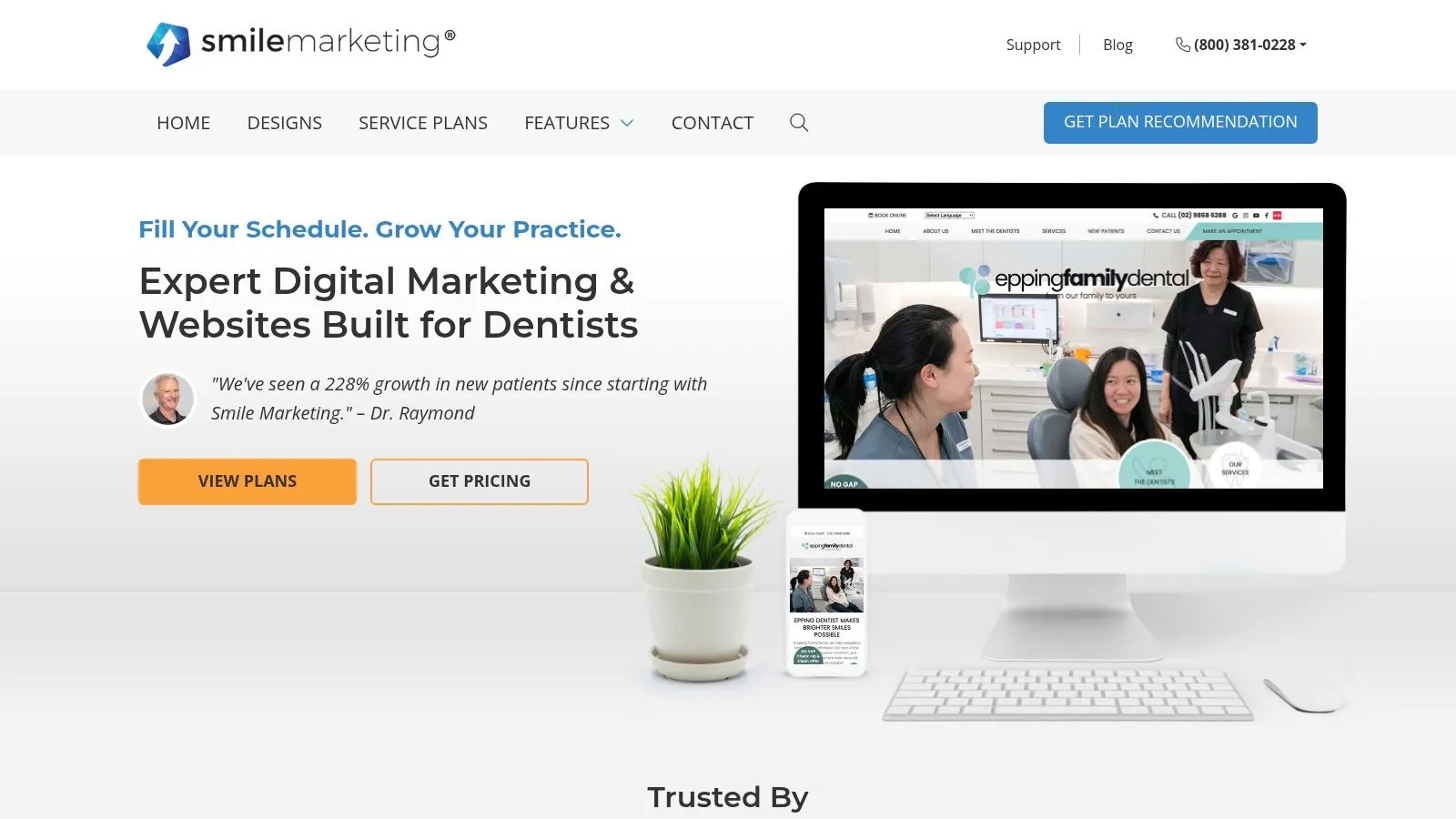 Smile Marketing services